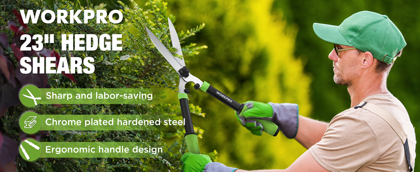 Hedge Shears