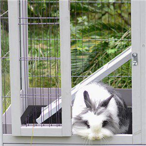 rabbit hutch