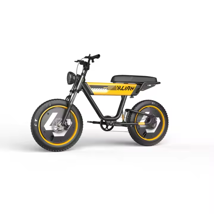 48V 750W electric bike 1000w 15AH hydraulic disc brake electric bike full suspension dirt mountain fat tire bicycle electric