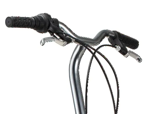 Schwinn Loop 20-Inch Folding Bike, 7-Speed, Step-Through Frame, Adult Commuter Bicycle with Cargo Rack