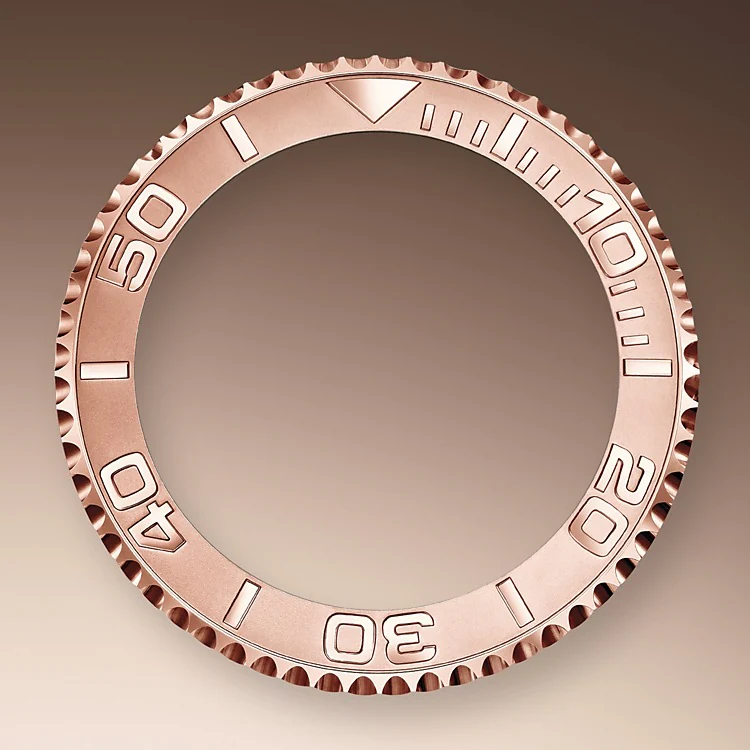 BIDIRECTIONAL ROTATABLE BEZEL