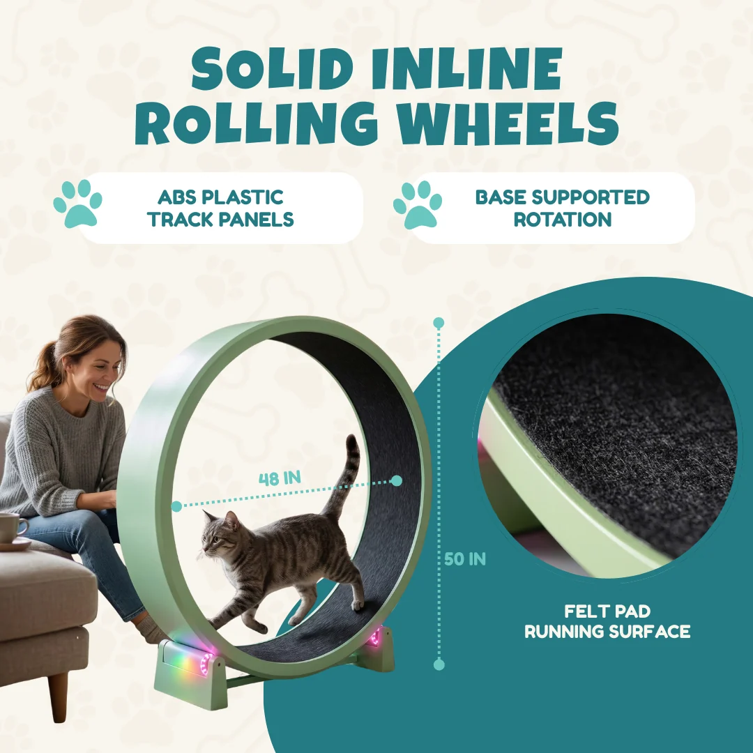 Cat Exercise Wheel 48 in Diameter with Black Felt Traction Pads Cat Exercise Wheel 48 in Diameter with Black Felt Traction Pads