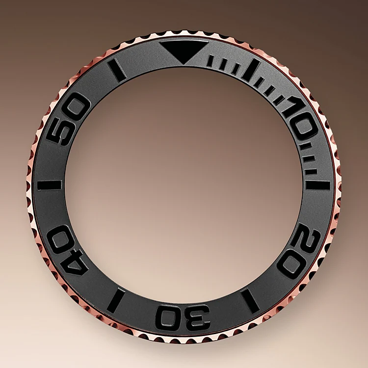 BIDIRECTIONAL ROTATABLE BEZEL