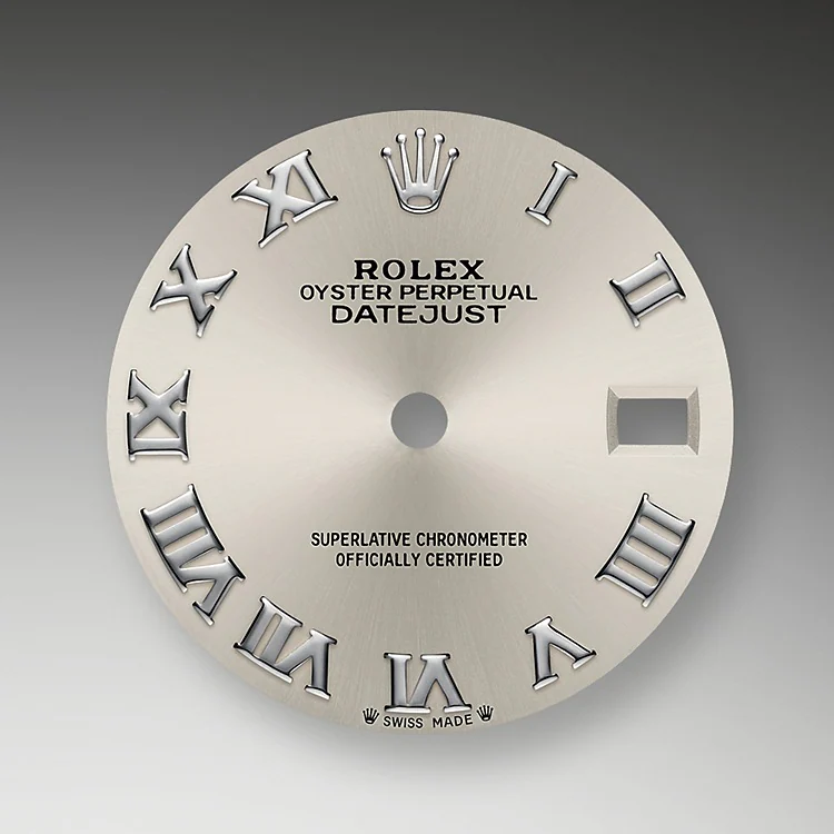 SILVER DIAL