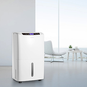 best dehumidifier for basements,home,office,bathroom,bedroom,kitchen,stockroom,living room