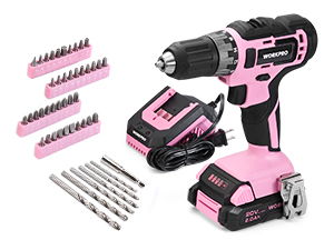 Drill Driver with fast charger, driver bits, magnetic extension bar
