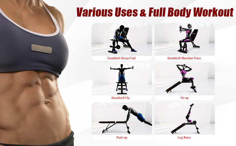 Exercise Bench