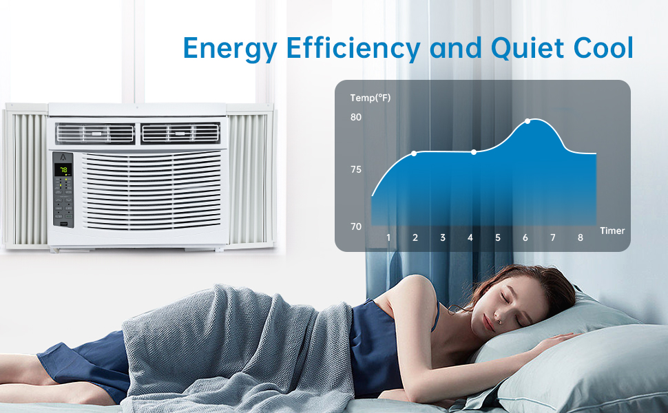 Window Air Conditioner