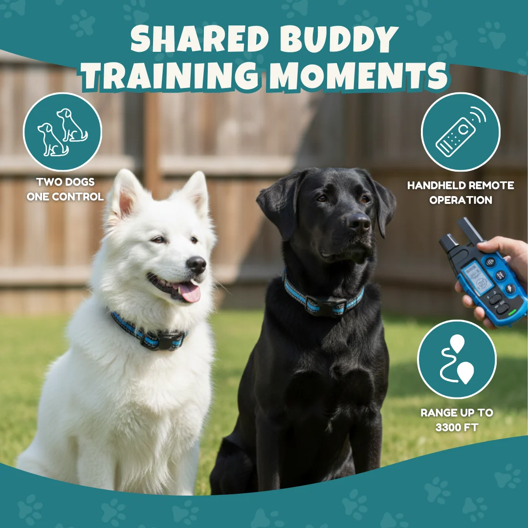 Two Dog Training Collar Set with Dual Channel Remote Control Two Dog Training Collar Set with Dual Channel Remote Control