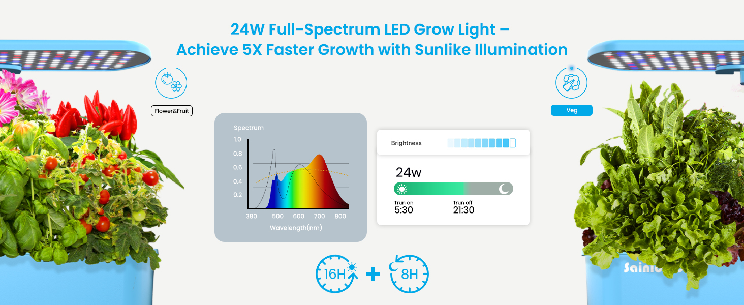 5X Faster Growth