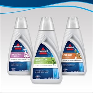 Steam mop, Steam cleaner, mop, Steamer, tile, ceramic, linoleum, wood floor, floor cleaner, natural