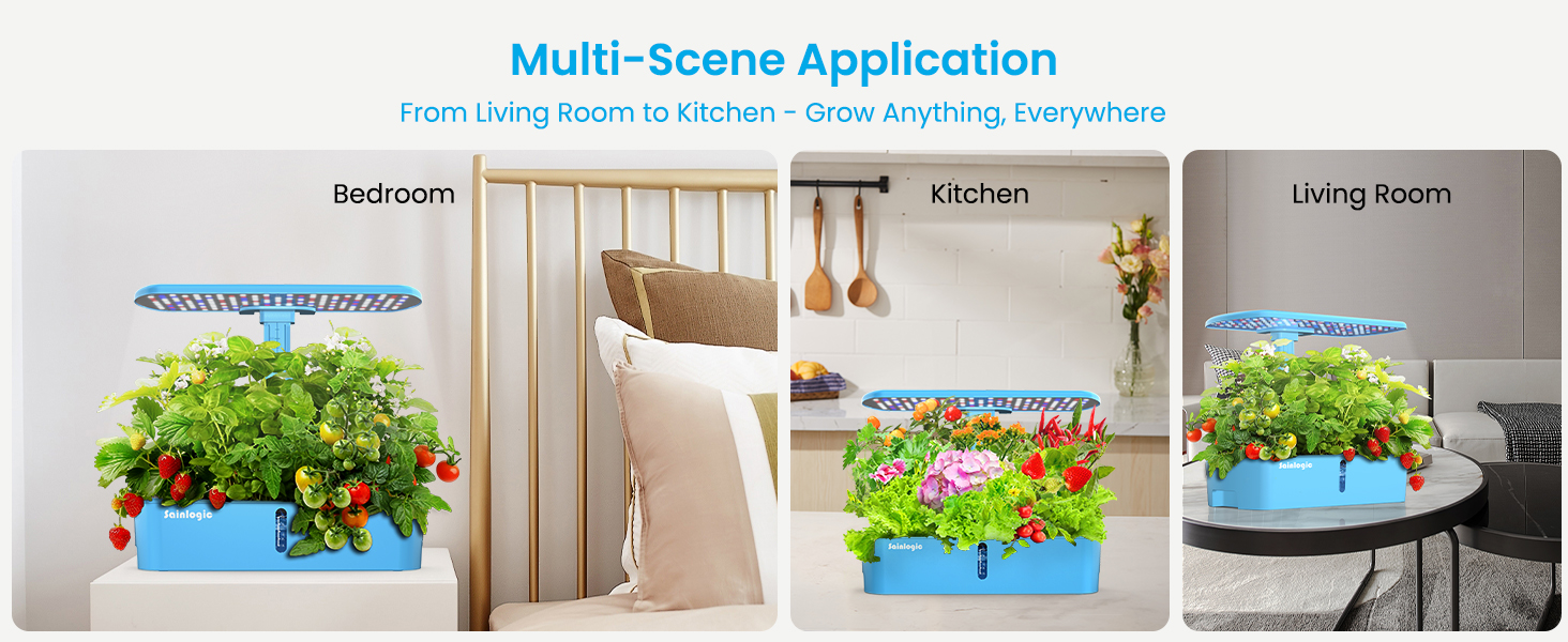 Multi-Scene Application