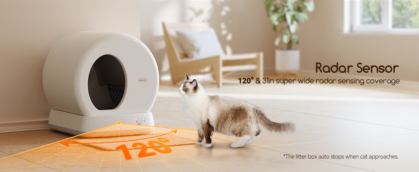 cat litter box