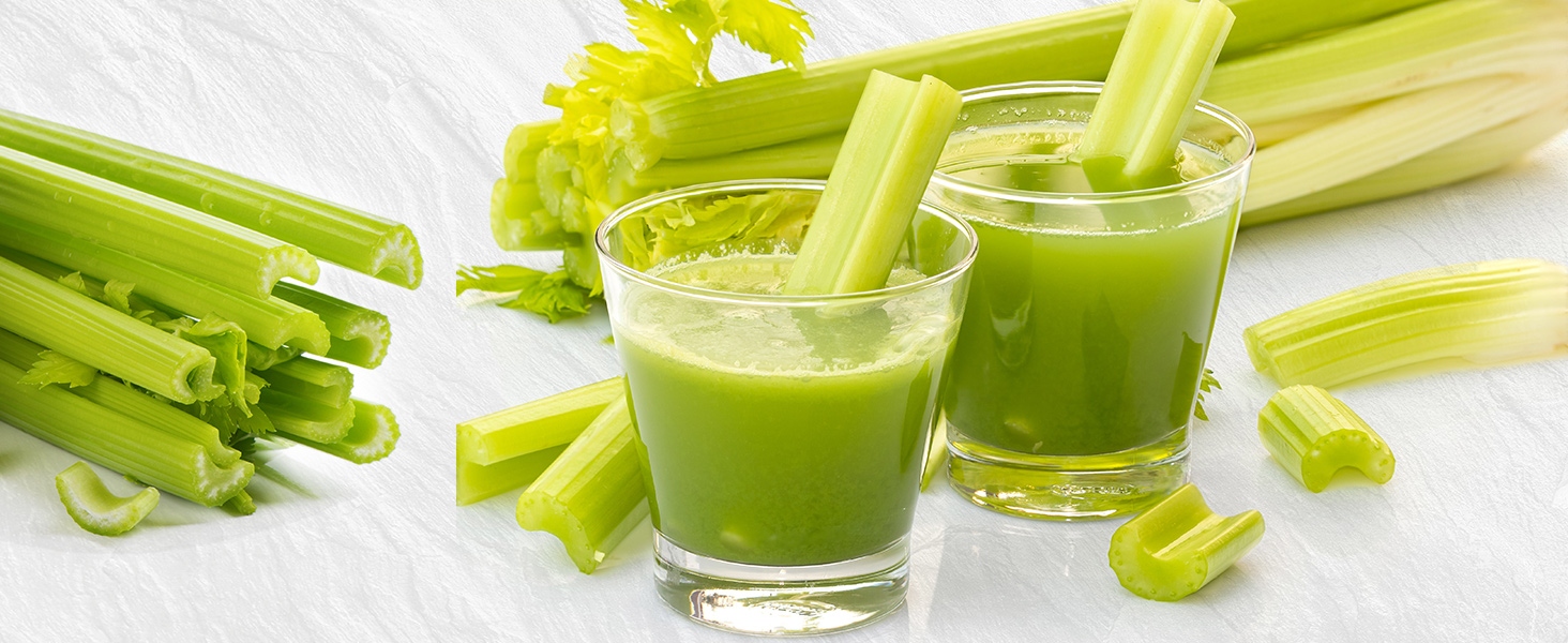 centrifugal juicer