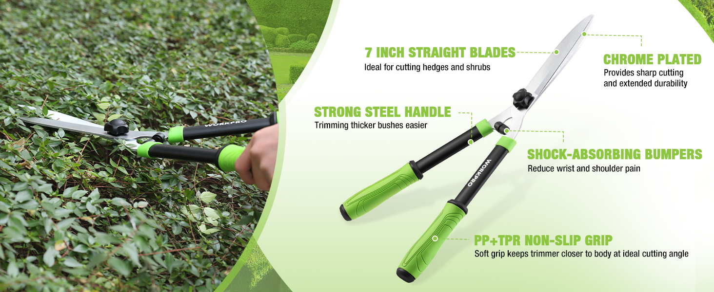Hedge Shears