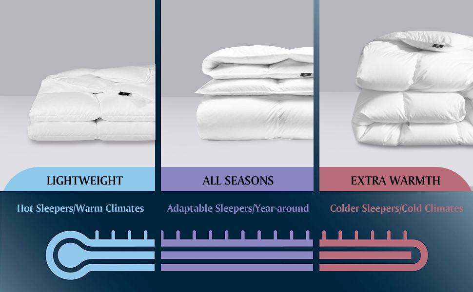 down comforter queen size