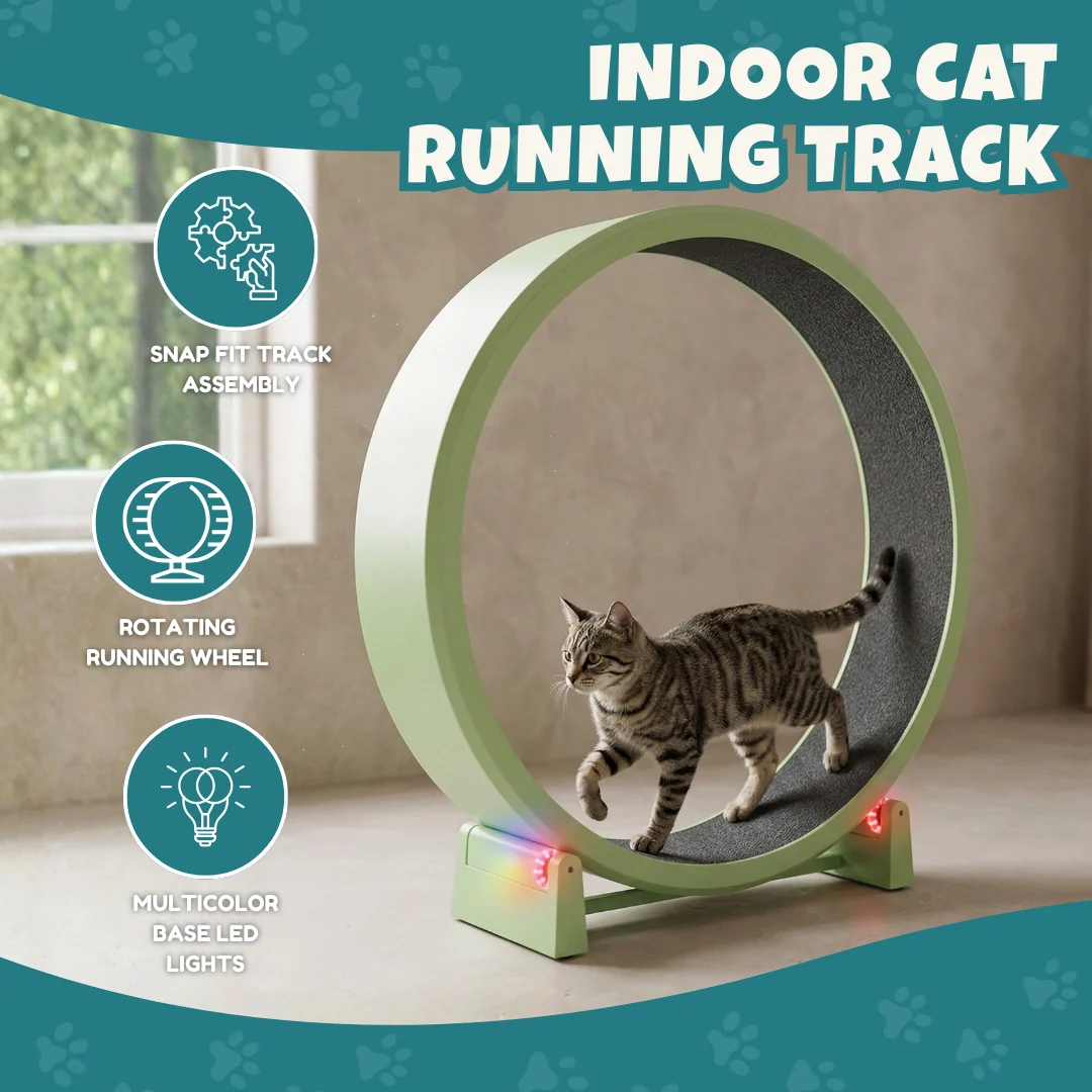 Cat Exercise Wheel 48 in Diameter with Black Felt Traction Pads Cat Exercise Wheel 48 in Diameter with Black Felt Traction Pads