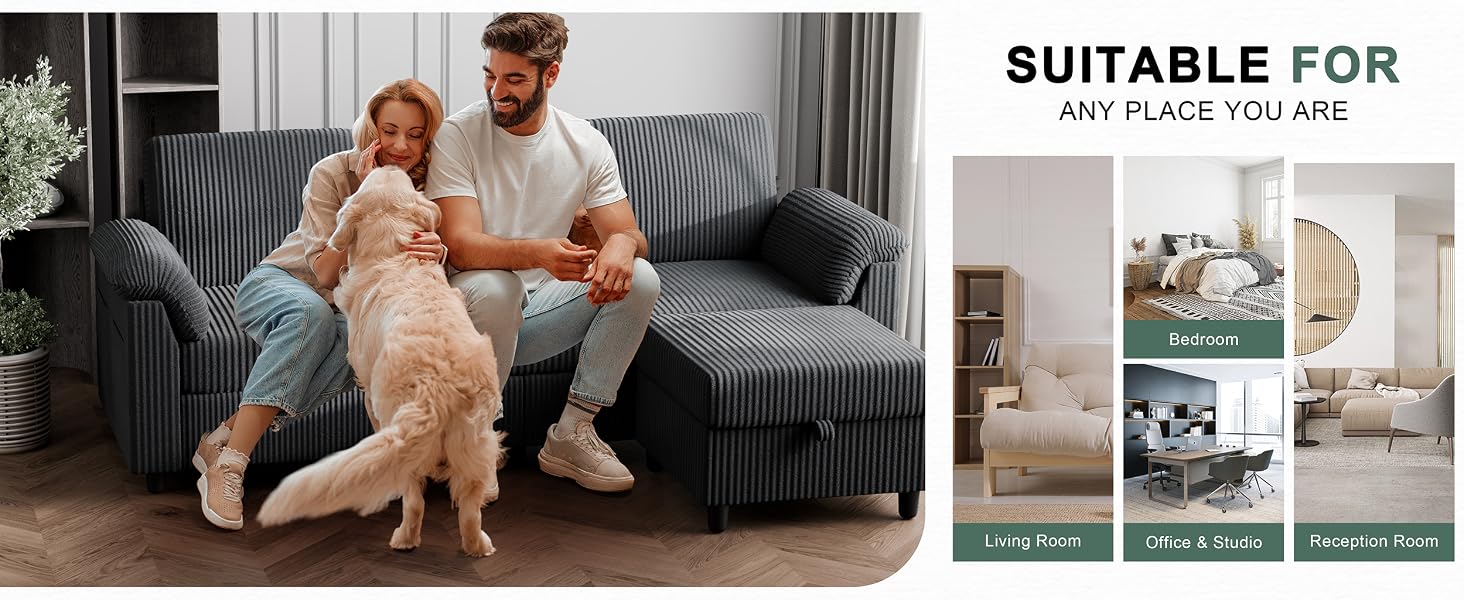 Sectional Couch