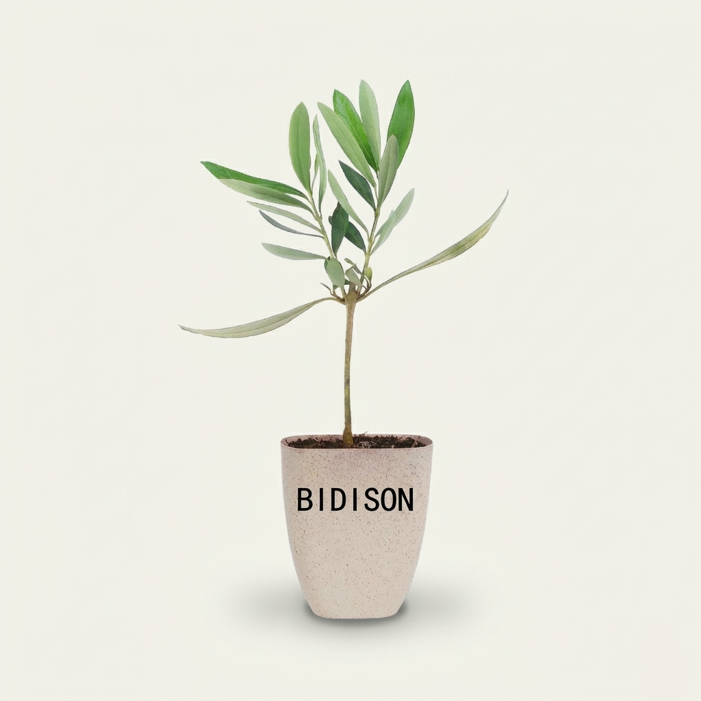 Mini-Olivenbaum