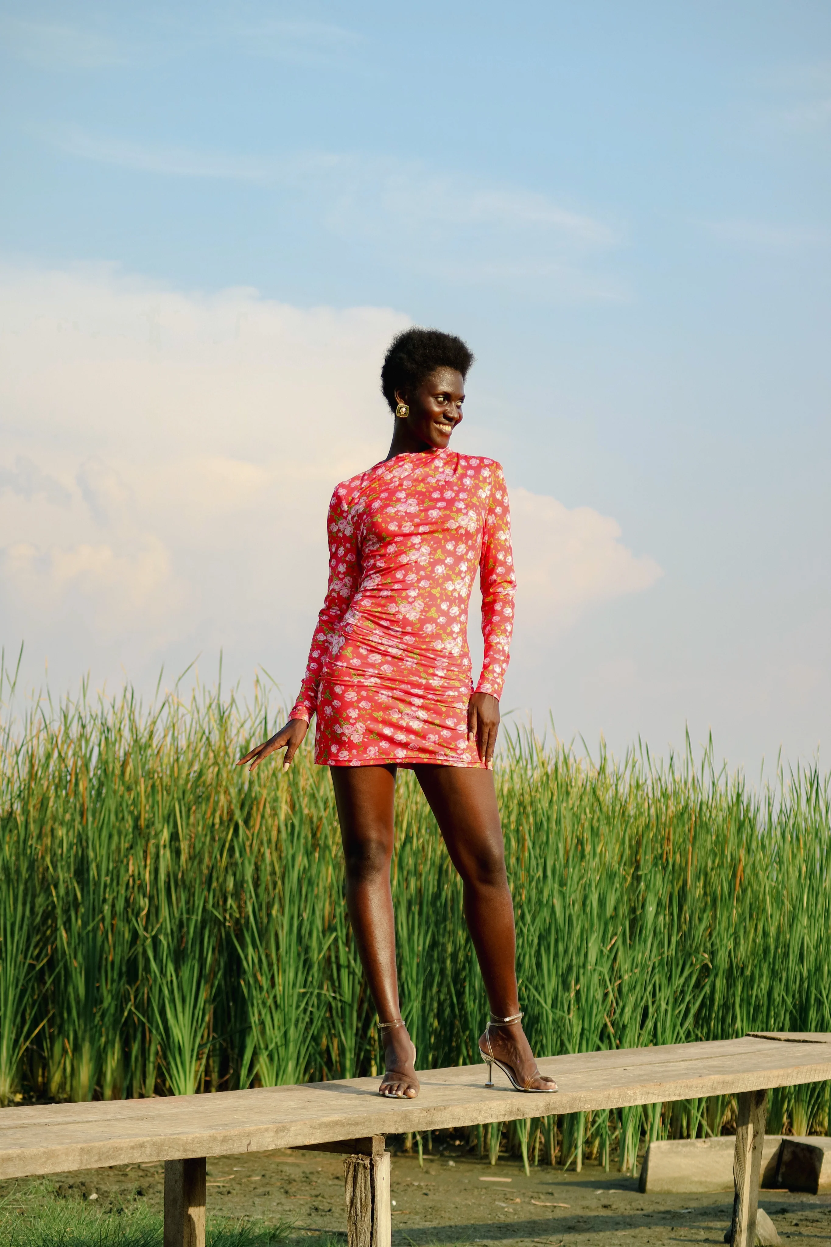 Sobacha Mini Dress