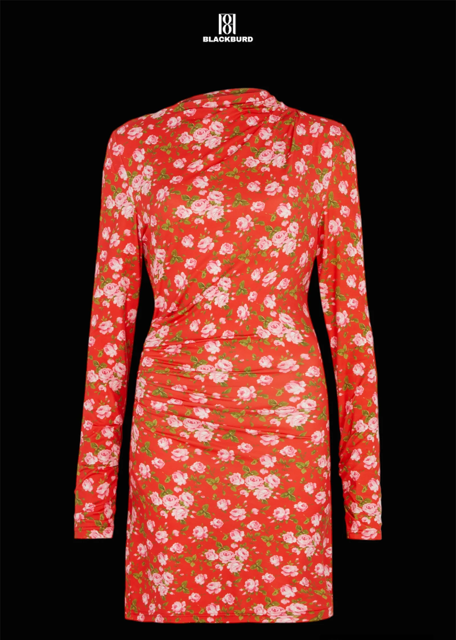 Sobacha Mini Dress
