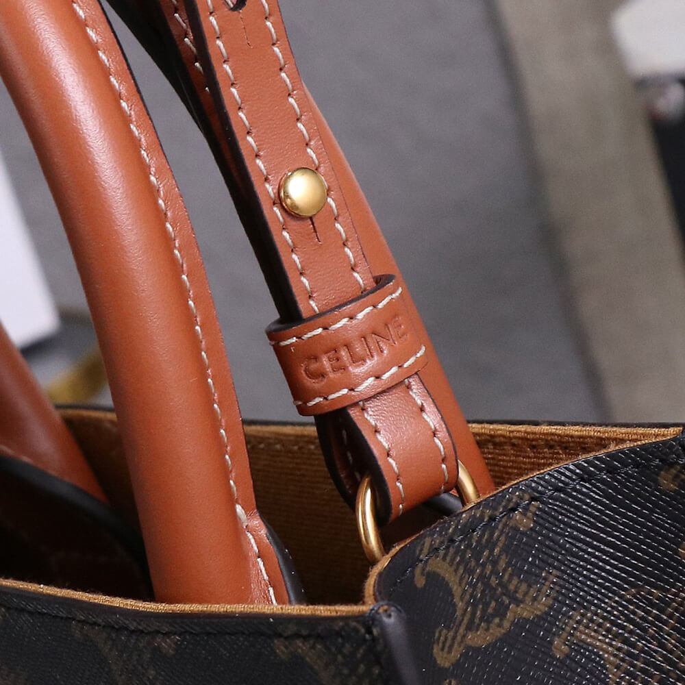 Celine Mini Vertical Cabas Bag in Triomphe Canvas with Celine Print - Replica Luxury Bags™