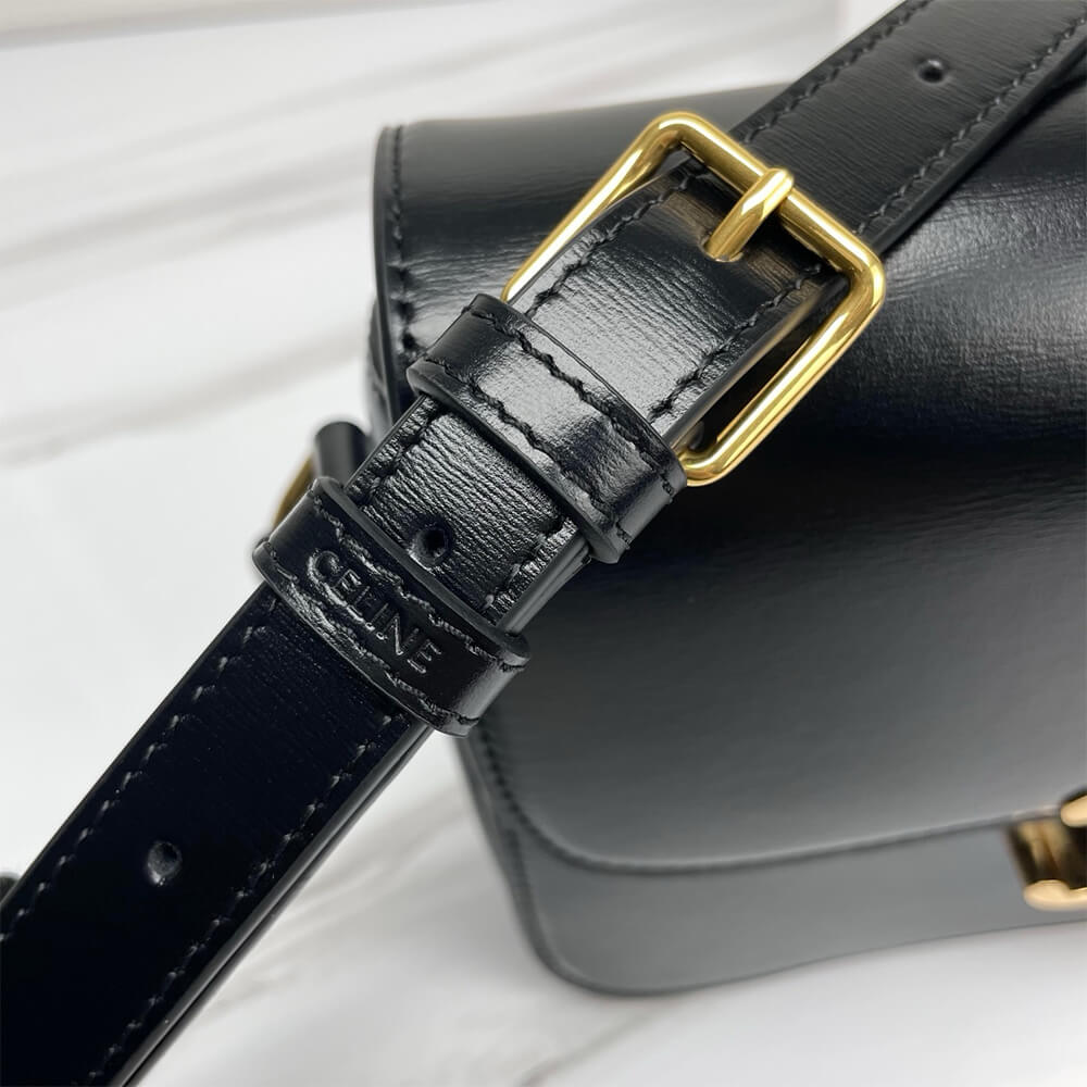 Celine Classique Triomphe Bag In Shiny Calfskin - Replica Luxury Bags™