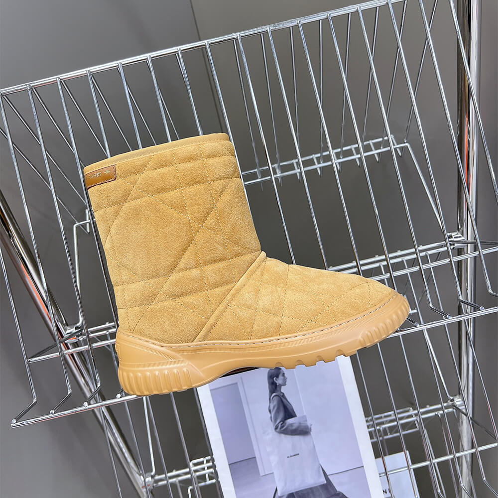 Dior Frost Ankle Boot Shoes - Replica Luxury Bags™