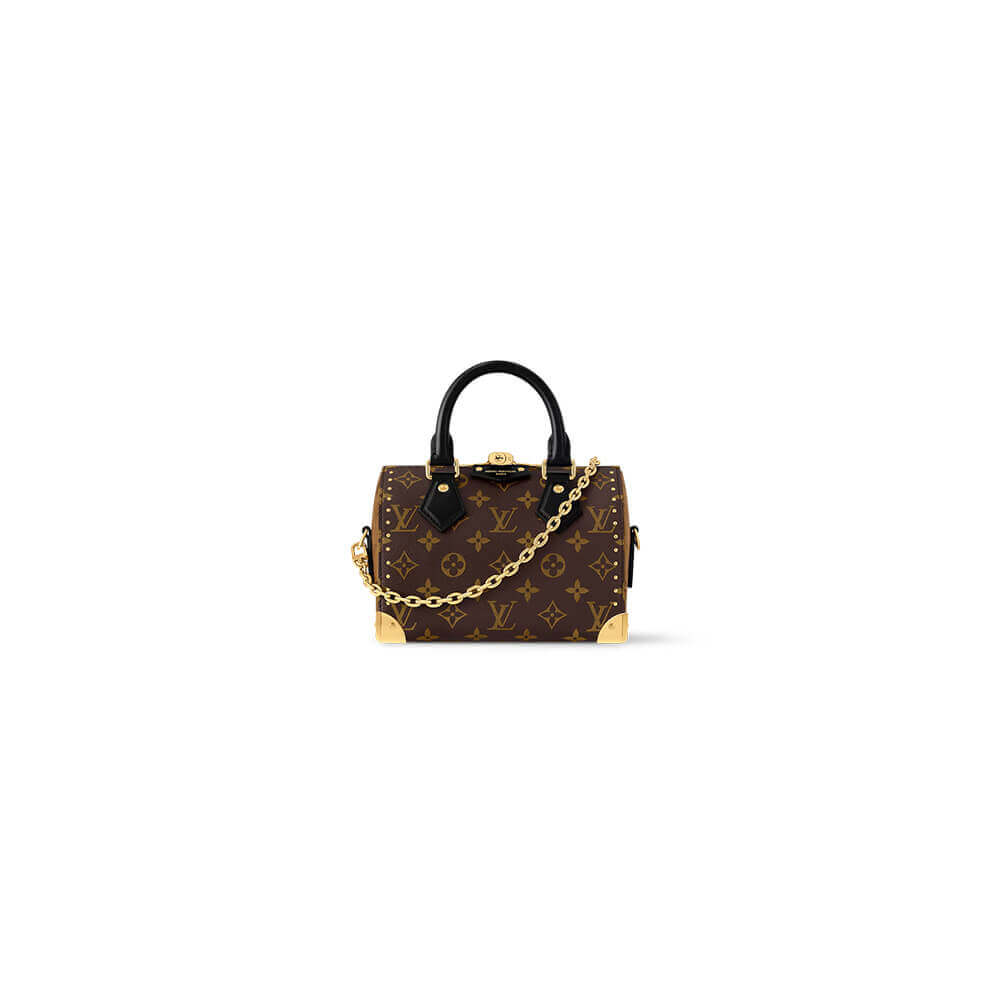 LV Speedy Trunk 20 Bag - Replica Luxury Bags™