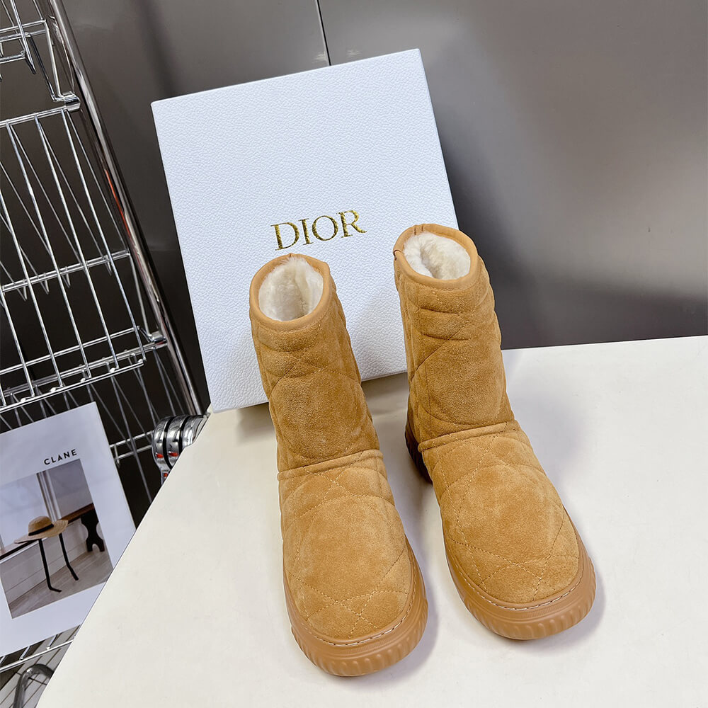 Dior Frost Ankle Boot Shoes - Replica Luxury Bags™