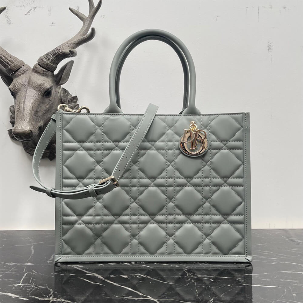 Dior Medium Book Tote Bag - Replica Luxury Bags™