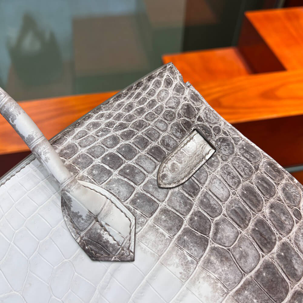 Hermes Birkin 30 Himalayan Bag - Replica Luxury Bags™