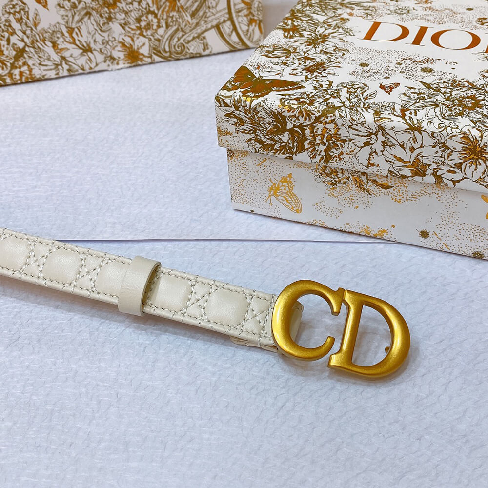 DIOR 20mm belt - Replica Luxury Bags™