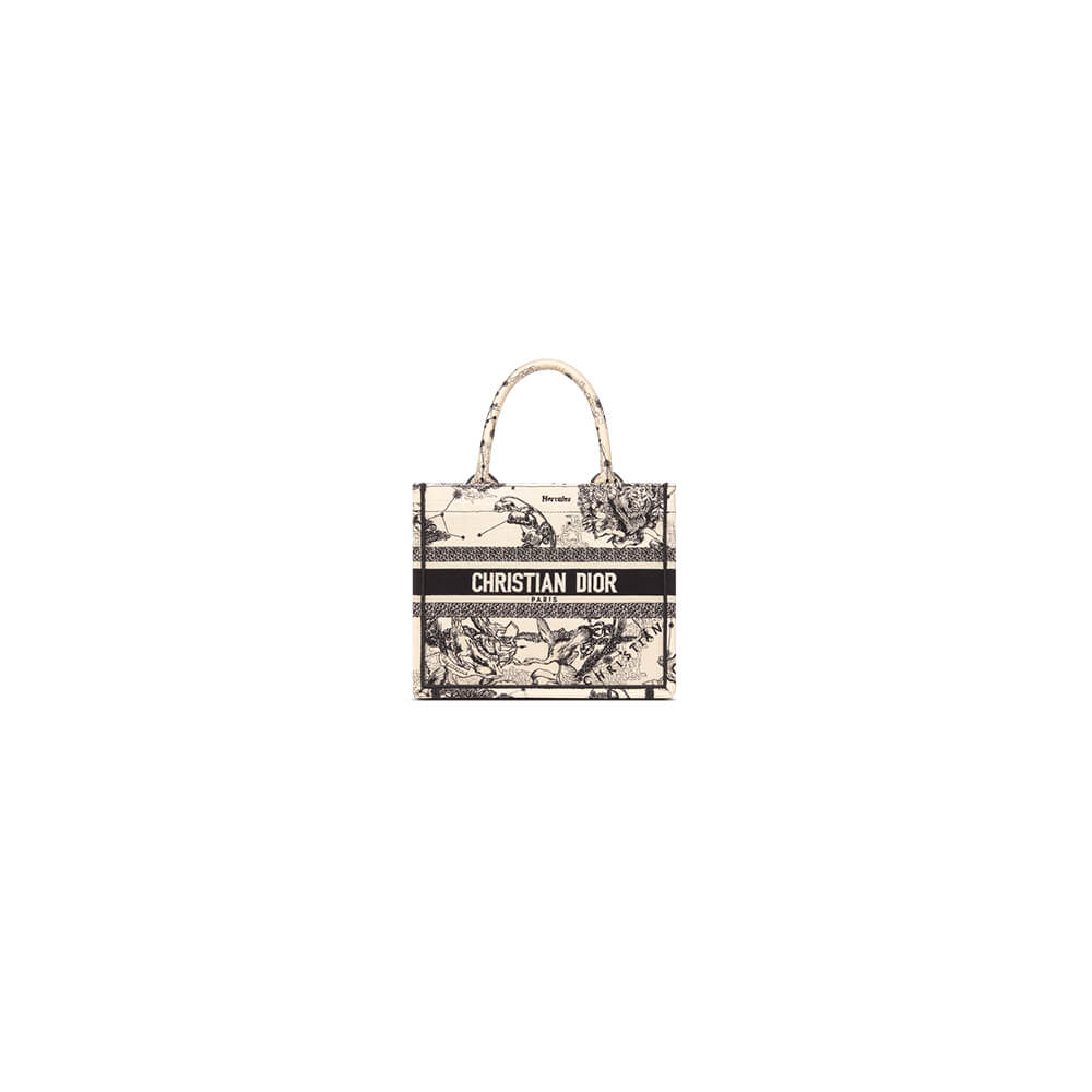 Small Dior Book Tote Bag - Replica Luxury Bags™