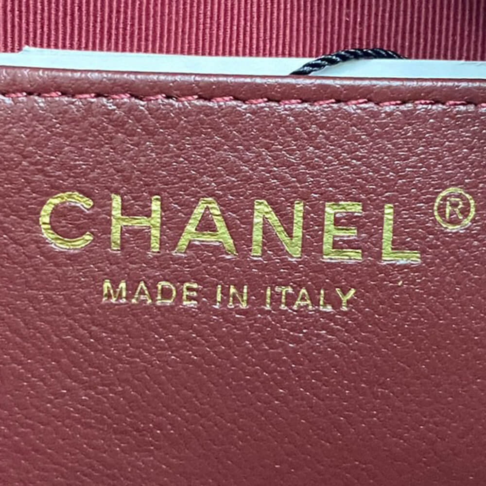 Chanel Mini Camera Case Bag - Replica Luxury Bags™