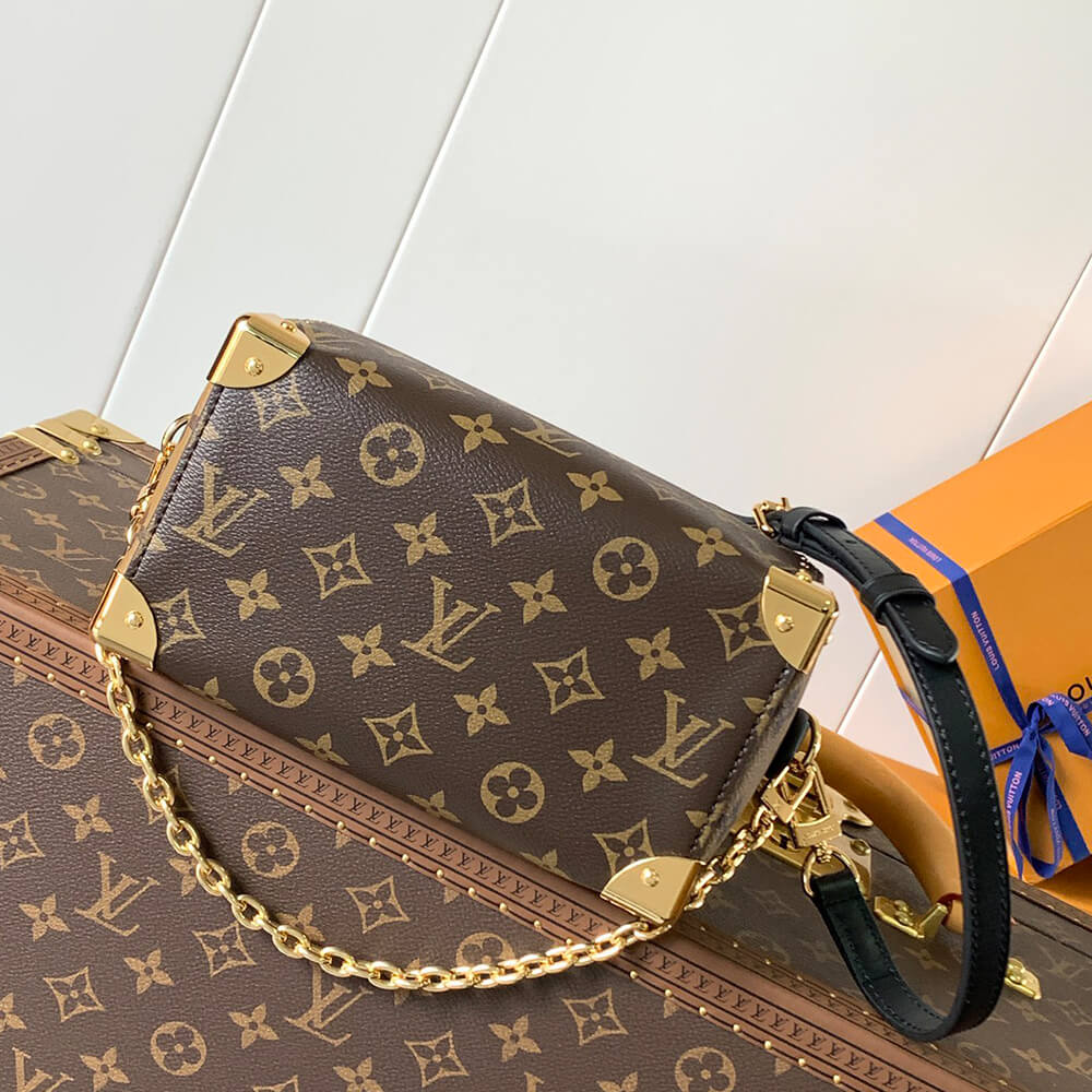 LV Speedy Trunk 20 Bag - Replica Luxury Bags™