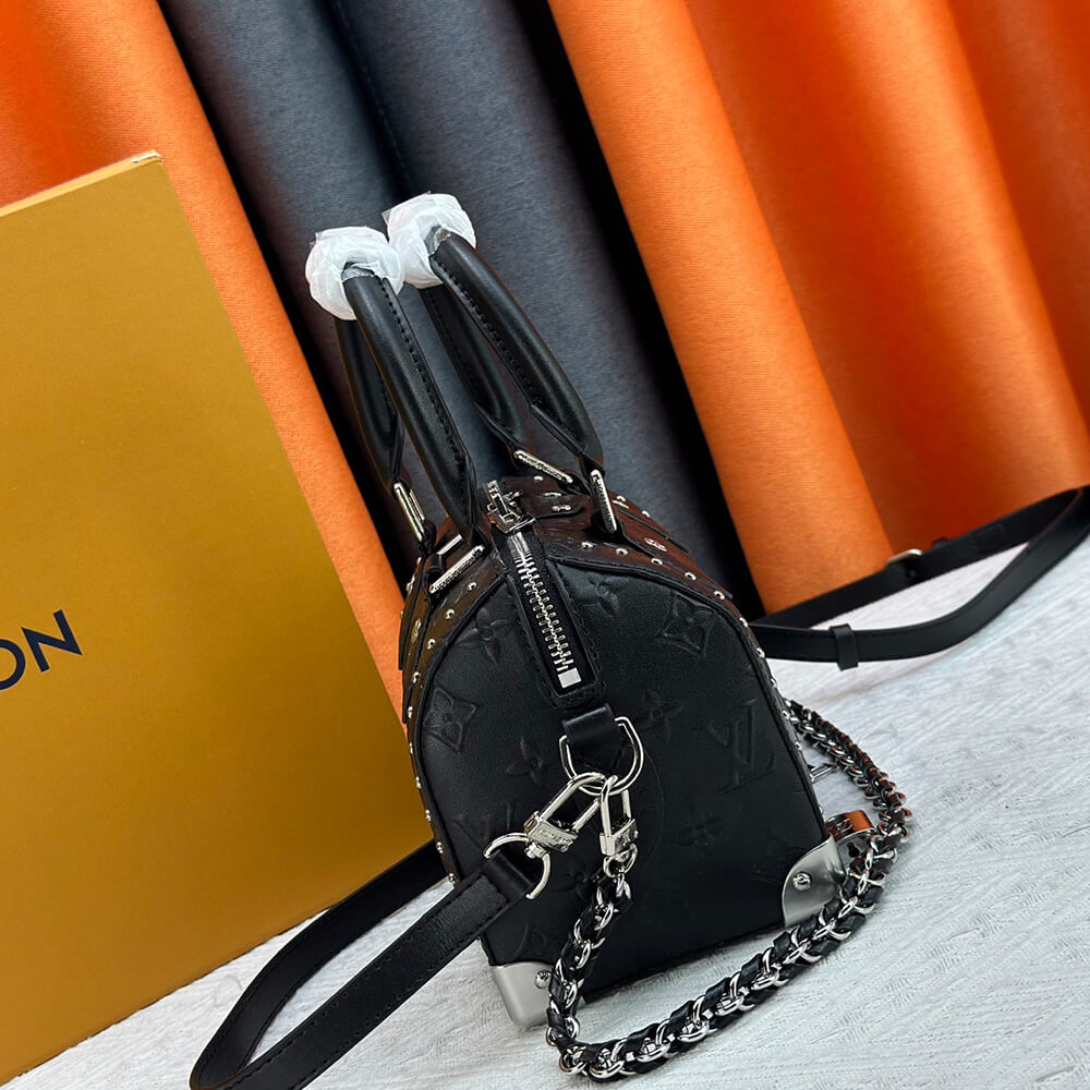 LV Speedy Trunk 20 Bag - Replica Luxury Bags™