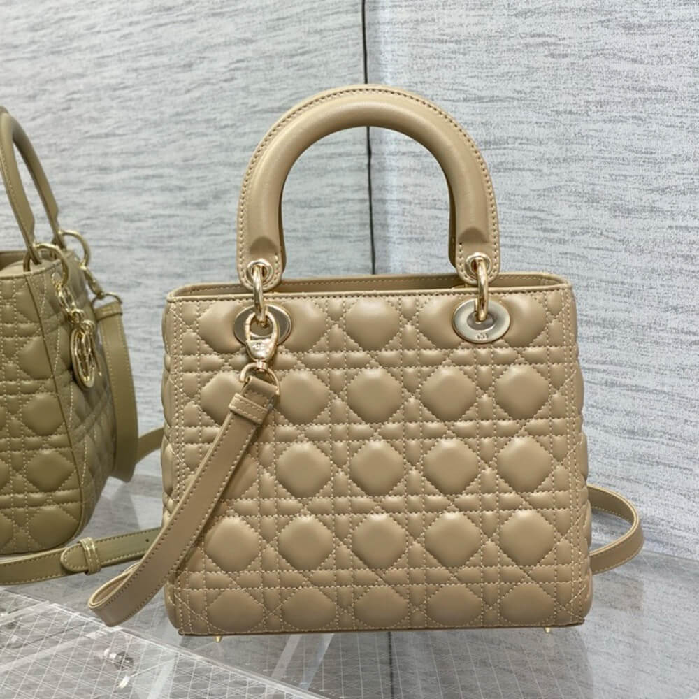 Medium Lady Dior Bag - Replica Luxury Bags™