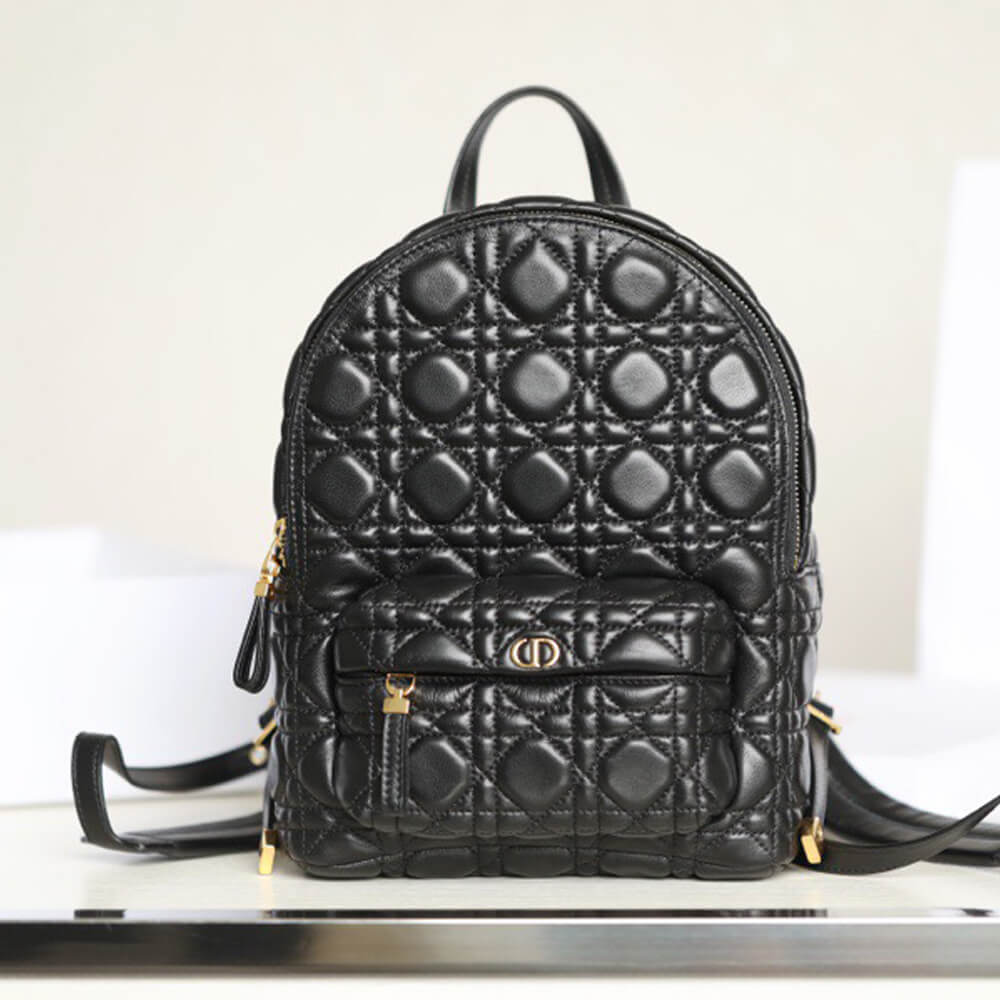 Small Dior Backpack Bag - Replica Luxury Bags™