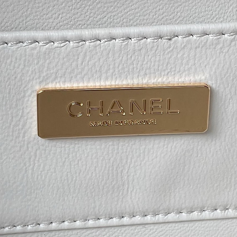 Chanel Camera Bag - Replica Luxury Bags™