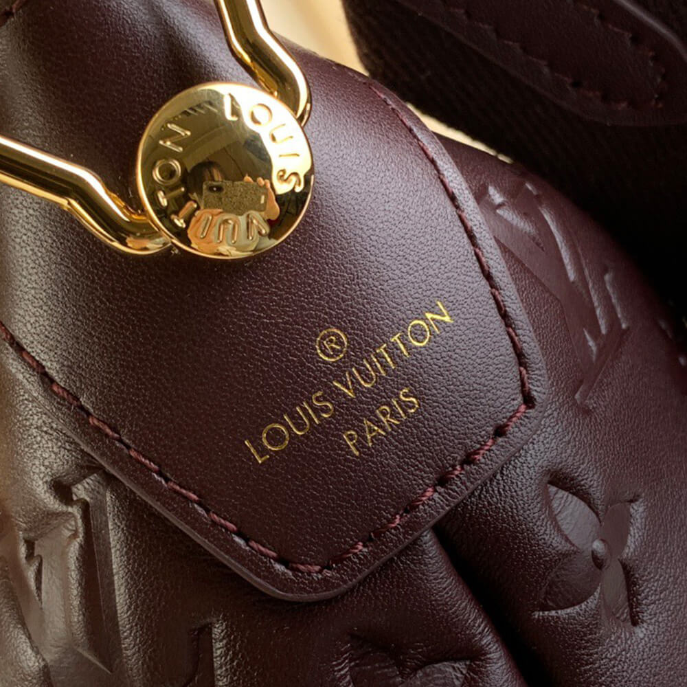 LV Coussin Hobo MM Bag - Replica Luxury Bags™