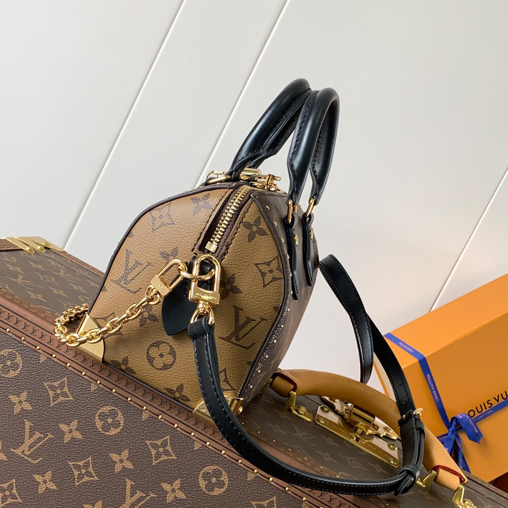 LV Speedy Trunk 20 Bag - Replica Luxury Bags™