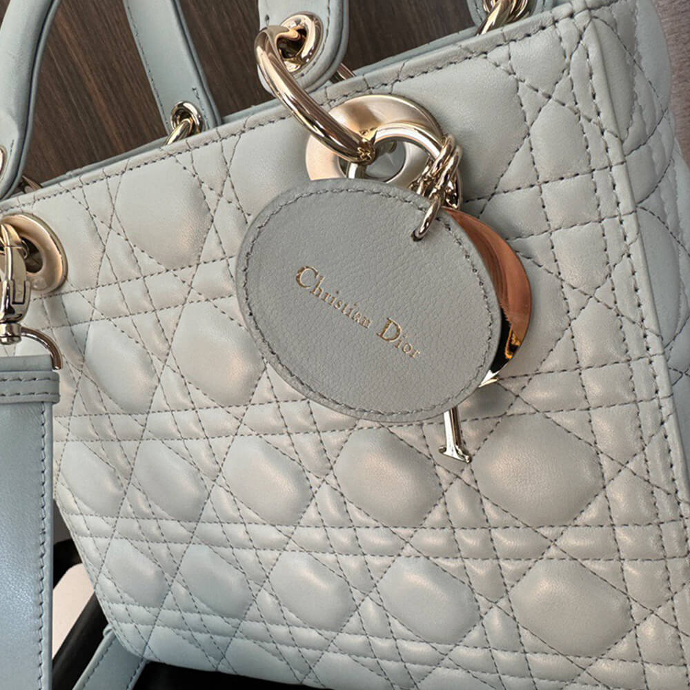 Medium Lady Dior Bag - Replica Luxury Bags™