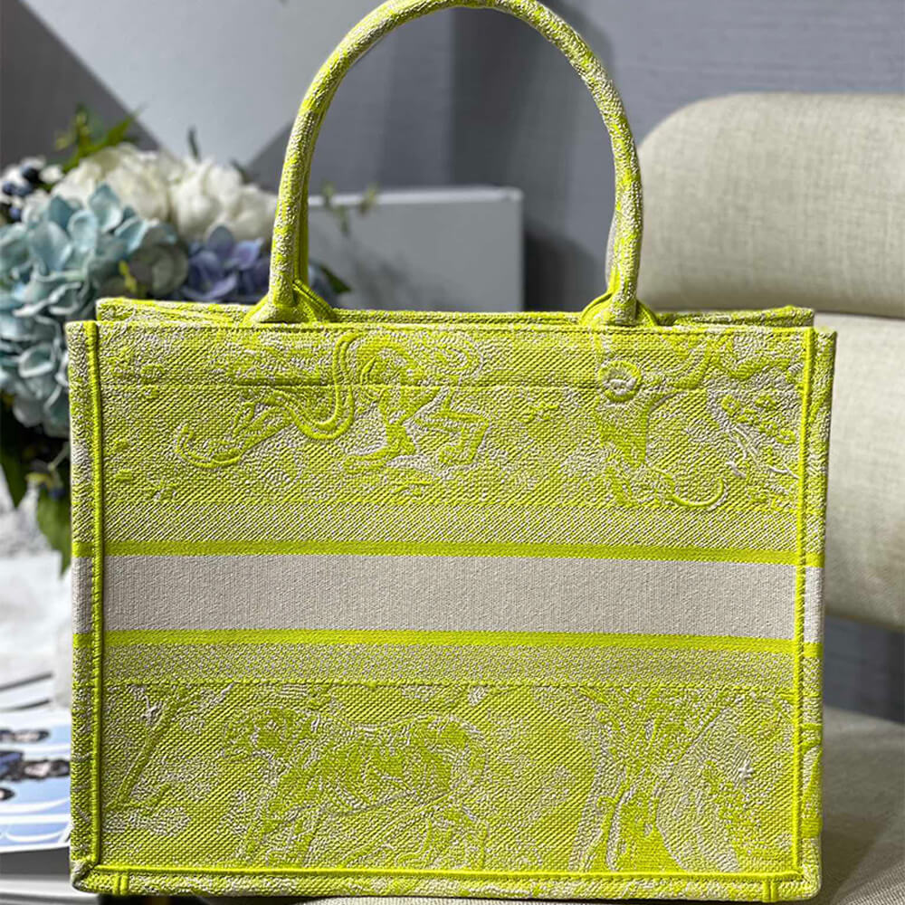 Small Dior Book Tote Bag - Replica Luxury Bags™