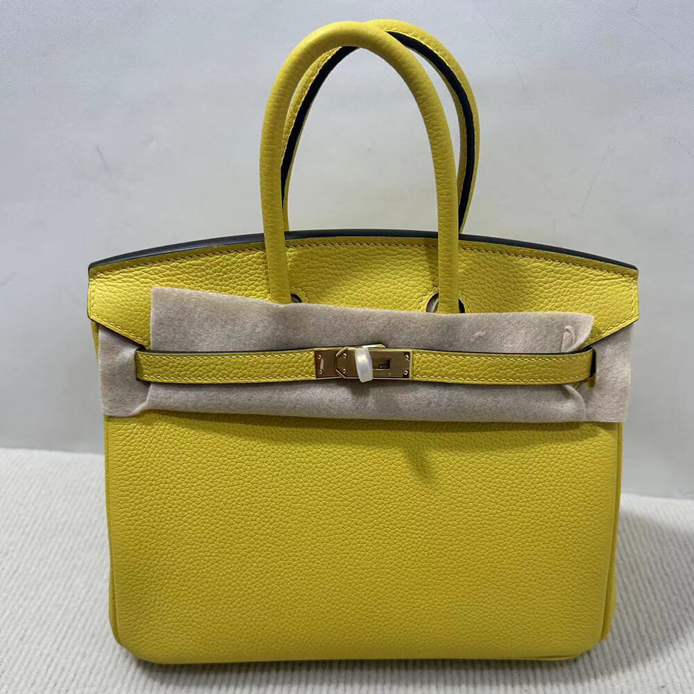 Hermes Birkin 25 Bag - Replica Luxury Bags™