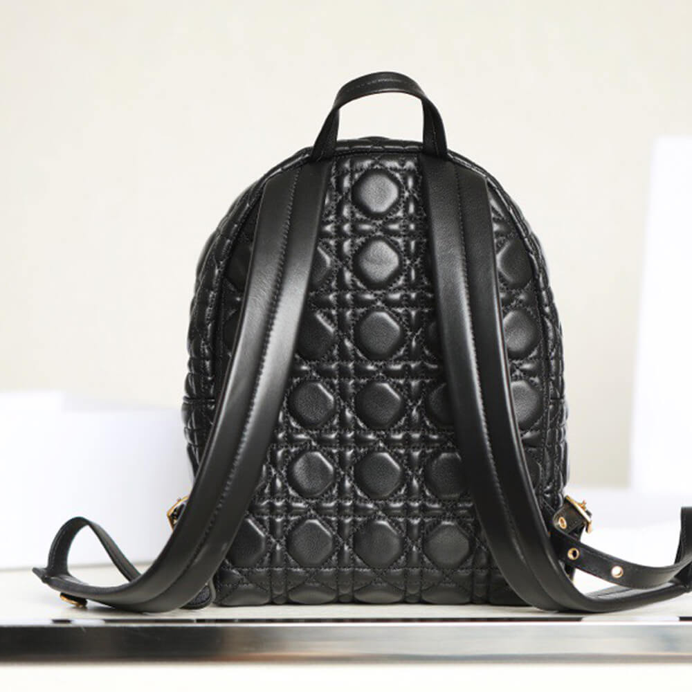 Small Dior Backpack Bag - Replica Luxury Bags™