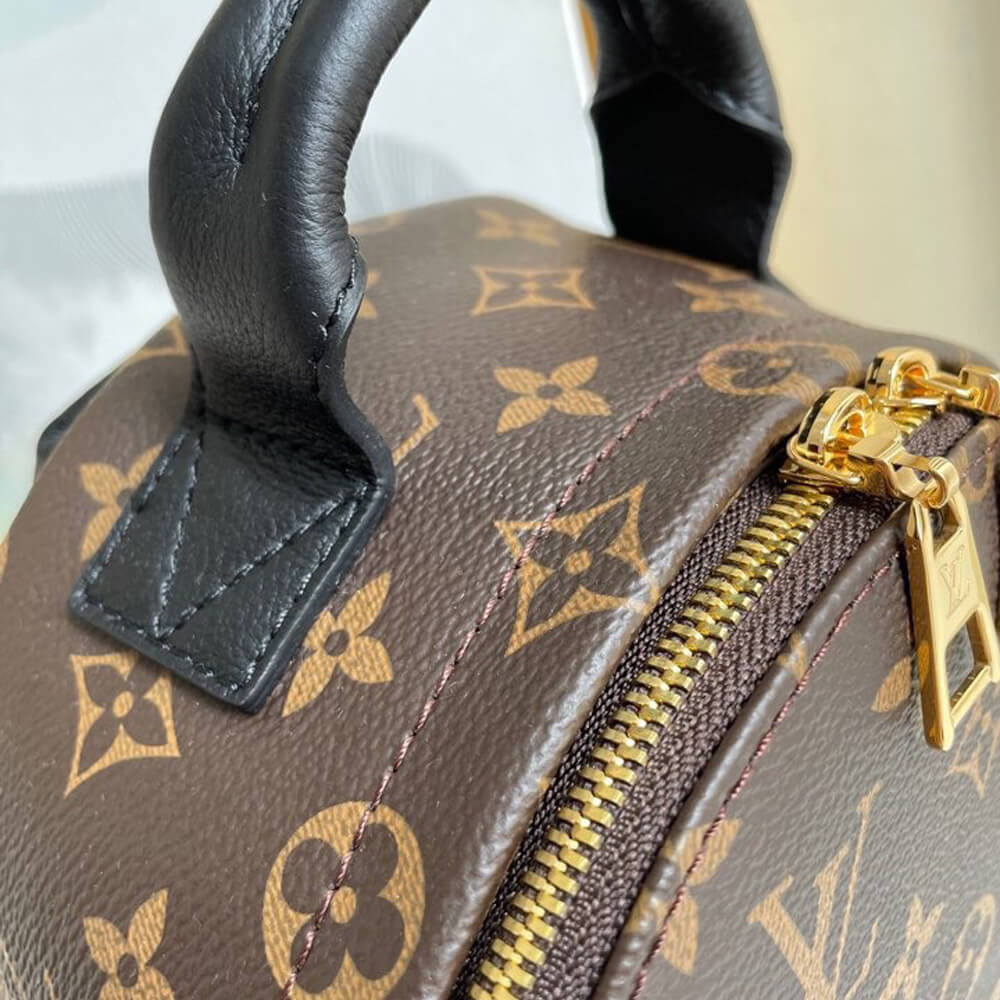 LV Palm Springs PM Backpack Bag - Replica Luxury Bags™