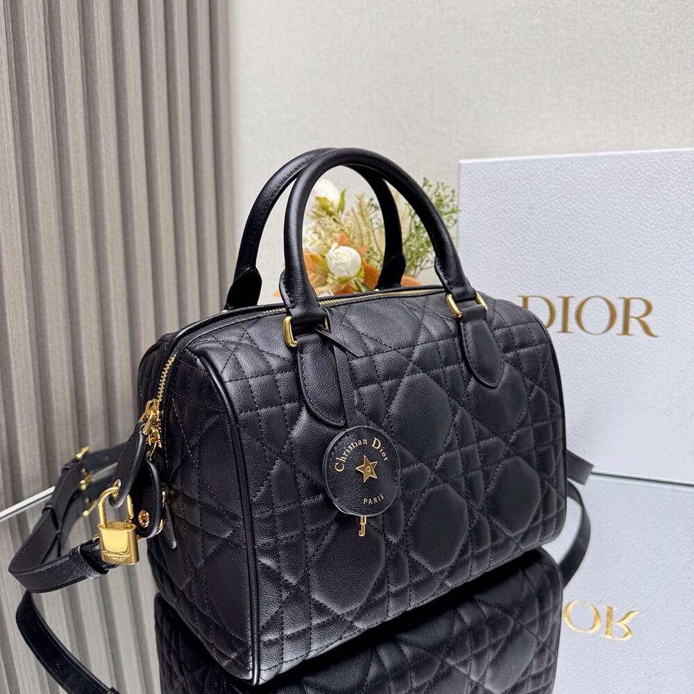 Dior Groove 25 Bag - Replica Luxury Bags™