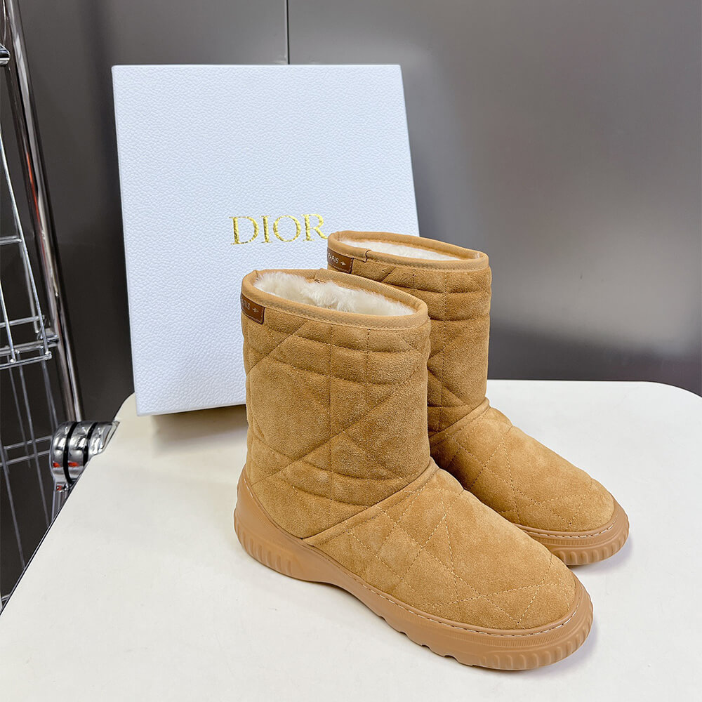 Dior Frost Ankle Boot Shoes - Replica Luxury Bags™