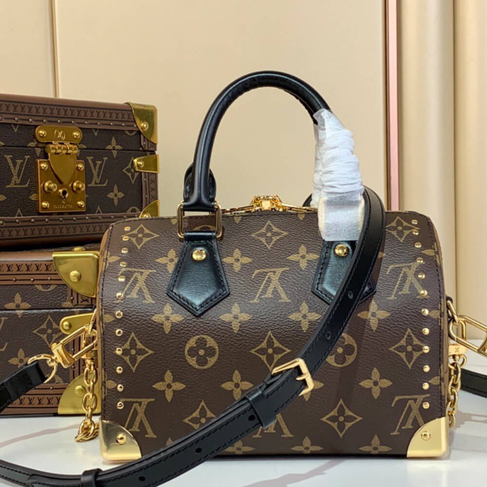 LV Speedy Trunk 20 Bag - Replica Luxury Bags™
